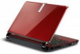 Notebook Multi-cortex